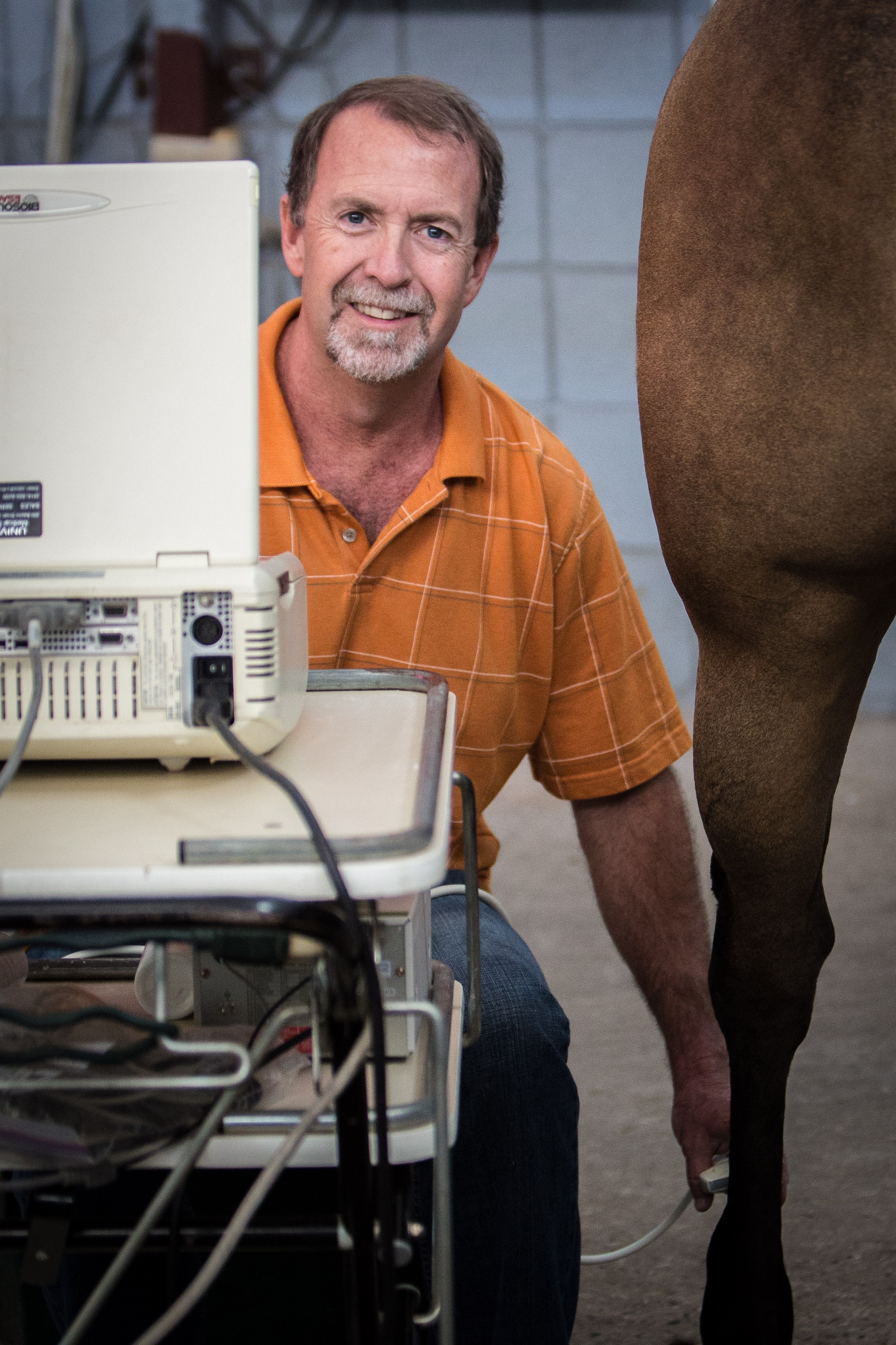 Veterinary Doctor testing a horse